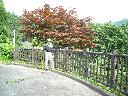 DSCN1083