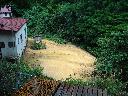DSCN1092