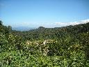 DSCN1135
