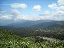 DSCN1141