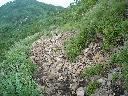 DSCN1162