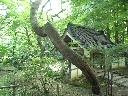DSCN1208