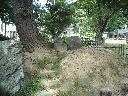 DSCN1214