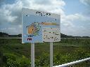 DSCN1251