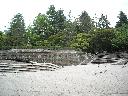 DSCN1263