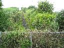 DSCN1285