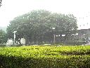 DSCN1288