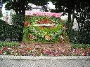 DSCN1290