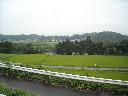 DSCN1302