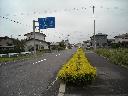 DSCN1304