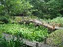 DSCN1317