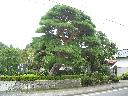 DSCN1352
