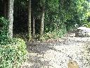 DSCN1387