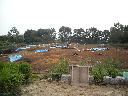 DSCN1389