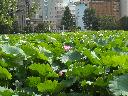 DSCN1433