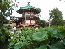 DSCN1436