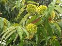DSCN1474
