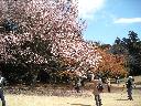 DSCN2310