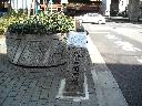 DSCN2316