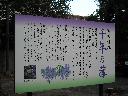 DSCN2324