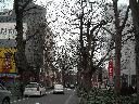 DSCN2335