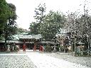 DSCN2341
