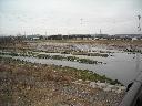 DSCN2360