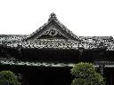 DSCN2367