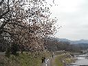 DSCN2396