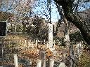 DSCN2415