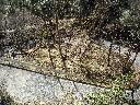 DSCN2427