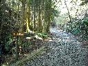 DSCN2429