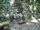 DSCN2430