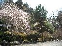 DSCN2449