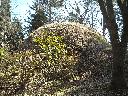 DSCN2519