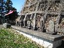 DSCN2524