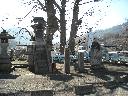 DSCN2548