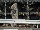 DSCN2556