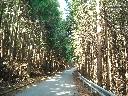 DSCN2578