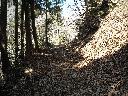 DSCN2584