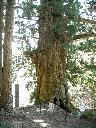 DSCN2588