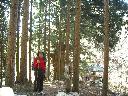 DSCN2590