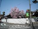 DSCN2639