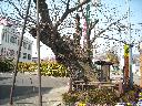 DSCN2681