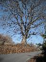 DSCN2719