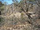 DSCN2797