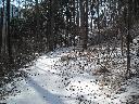DSCN2879