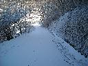 DSCN2890