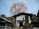 DSCN2974