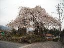 DSCN3022